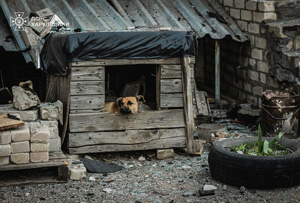 Россияне массированно атаковали Харьковскую области дронами: повреждены два гражданских предприятия