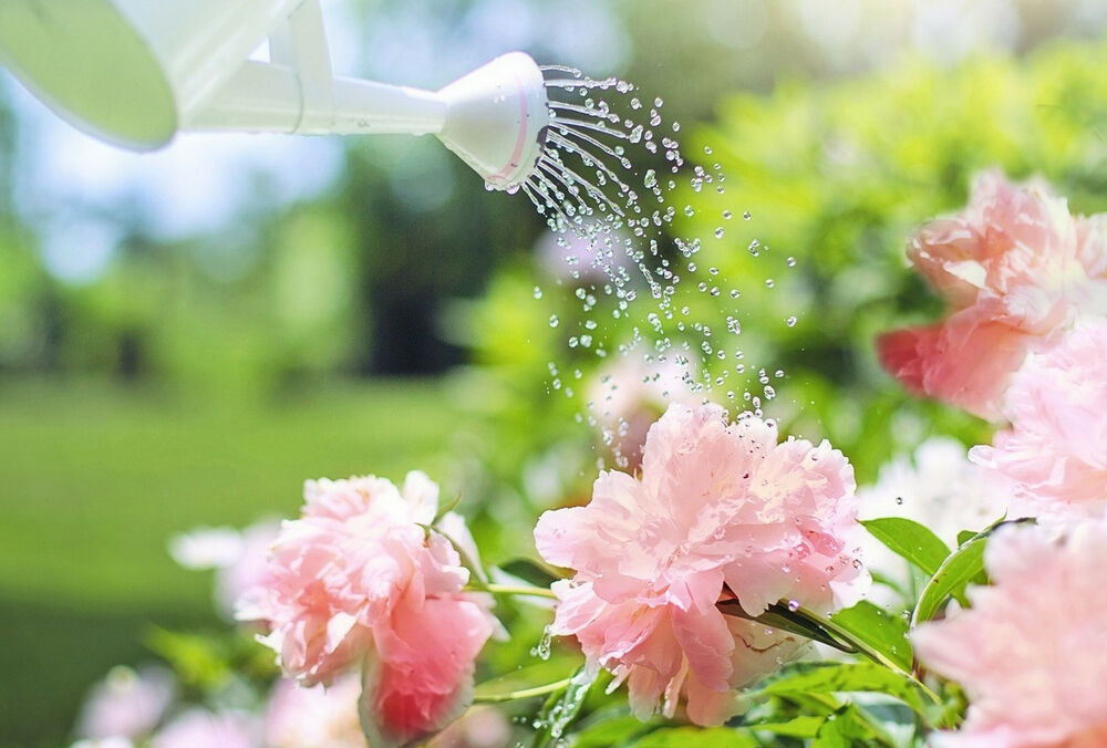 Прогноз погоди: де посилиться спека