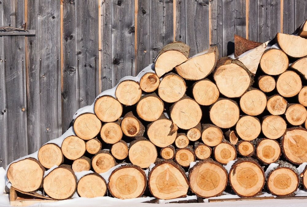 В Минэкологии рассказали, сколько дров нужно украинцам на зиму