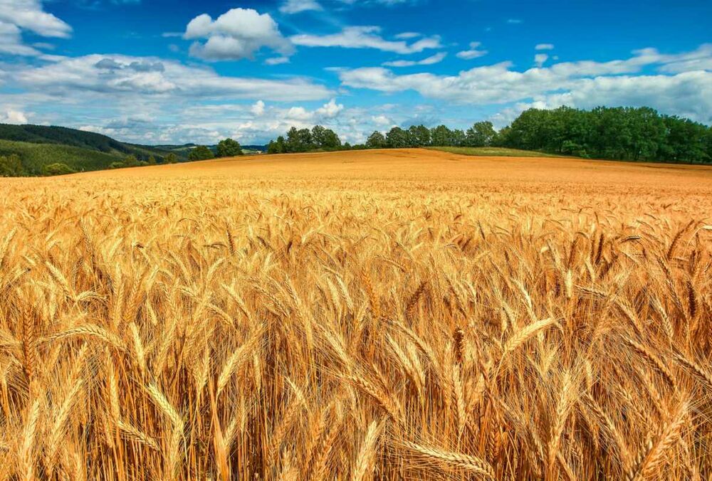 Неспекотні вихідні: прогноз погоди на суботу