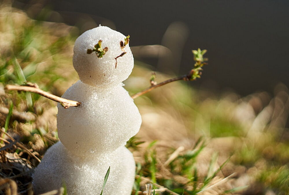 Січень закінчиться весняним теплом: подекуди буде 17 градусів