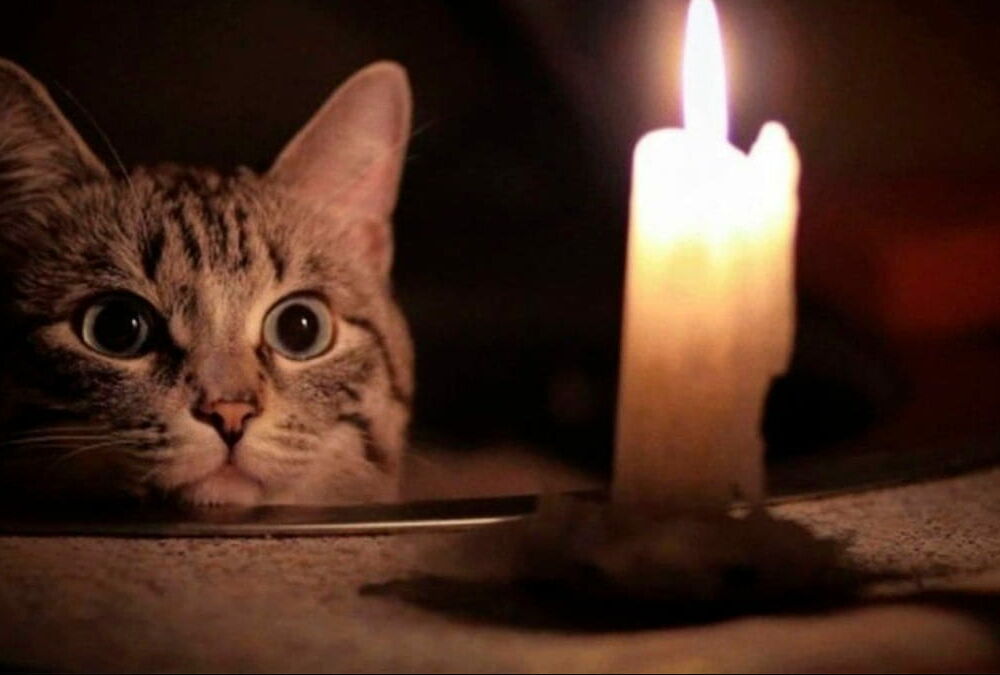 Сегодня в Киевской области вводятся веерные отключения электроэнергии 