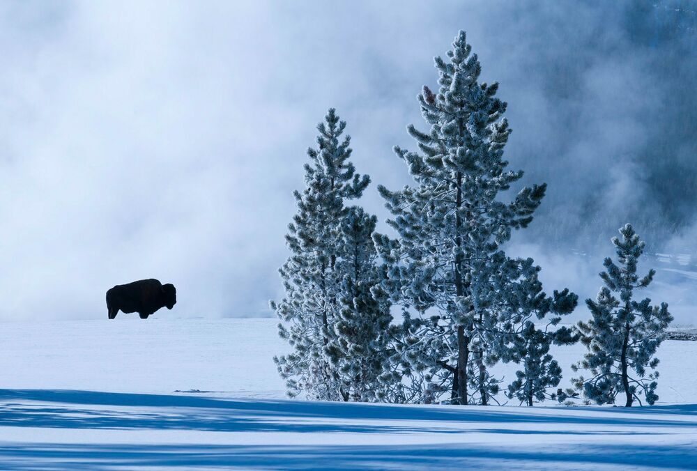Ледники по всему миру исчезнут через несколько десятилетий: список локаций, где растает снег