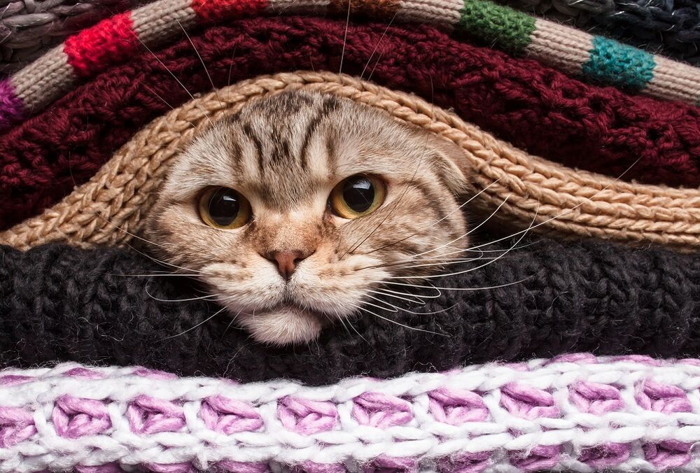 Шмигаль порадив українцям, як підготуватися до зими