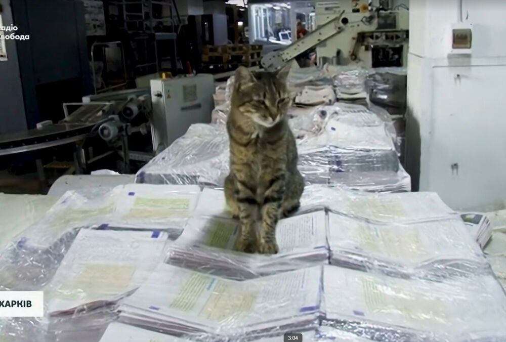 Харьковская типография ”Фактор-Друк” возобновила работу после российского обстрела