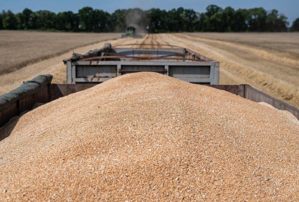 Зерновая сделка на грани срыва: сегодня из украинского порта выйдет последнее судно
