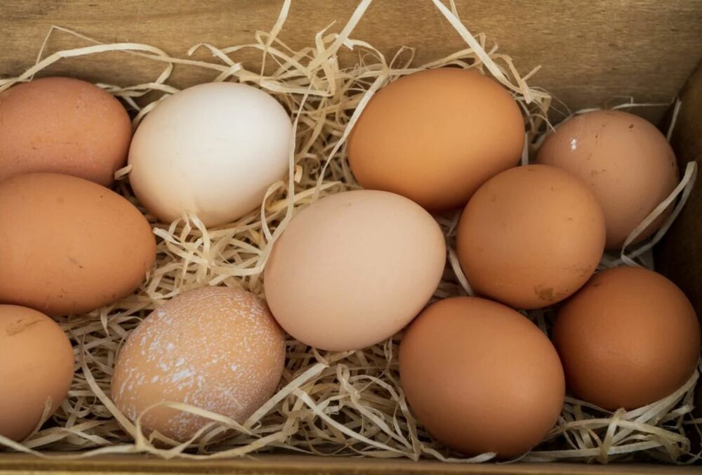 Цены на яйца в Украине будут повышаться: в чем причина