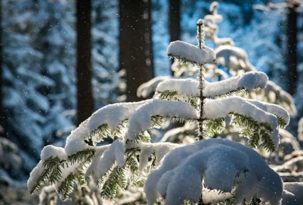Синоптики попередили про похолодання: прогноз погоди в Україні