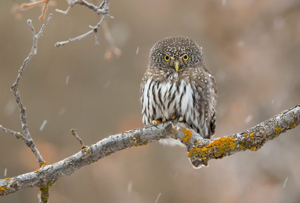 Дощі повертаються: якою буде погода в Україні