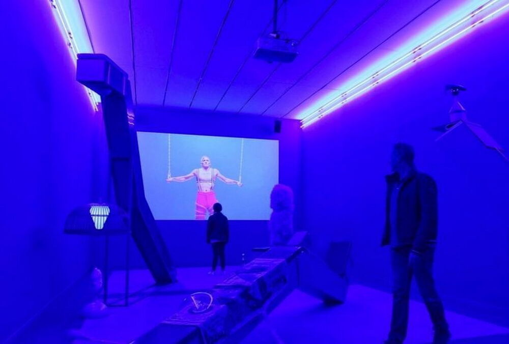 Французский музей пускает внутрь только обнаженных посетителей: о чем выставка