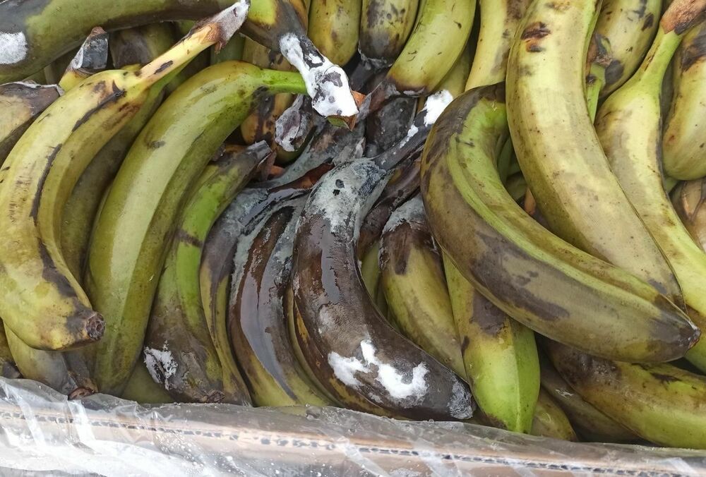 Военных на востоке кормят некачественными продуктами и с задержками: что показала проверка МО Военных на востоке кормят некачественными продуктами и с задержками: что показала проверка МО
