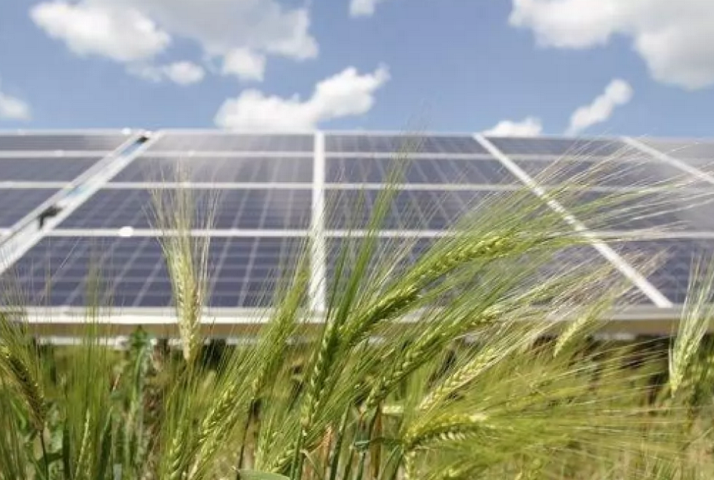 Трифонівська сонячна електростанція відновила роботу після російської окупації