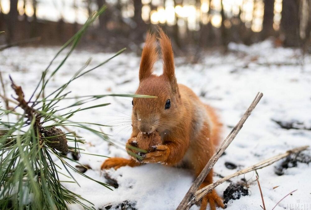 Календарь праздничных дней в феврале 2022 года