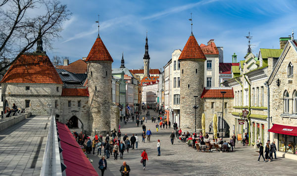 Естонія передасть Україні летальну зброю