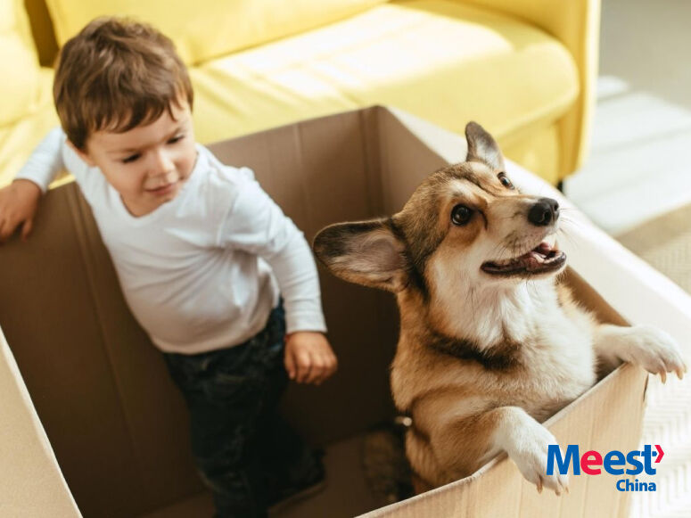 Лайфхак: як отримати посилку з Китаю без затримок