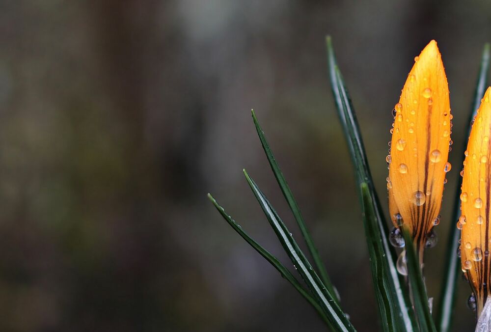 В Украину ворвалось тепло: прогноз погоды на четверг