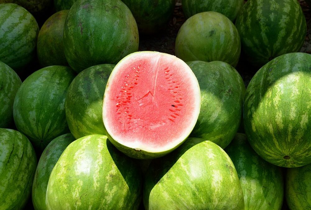 Комаровський розвіяв міф про ранні кавуни