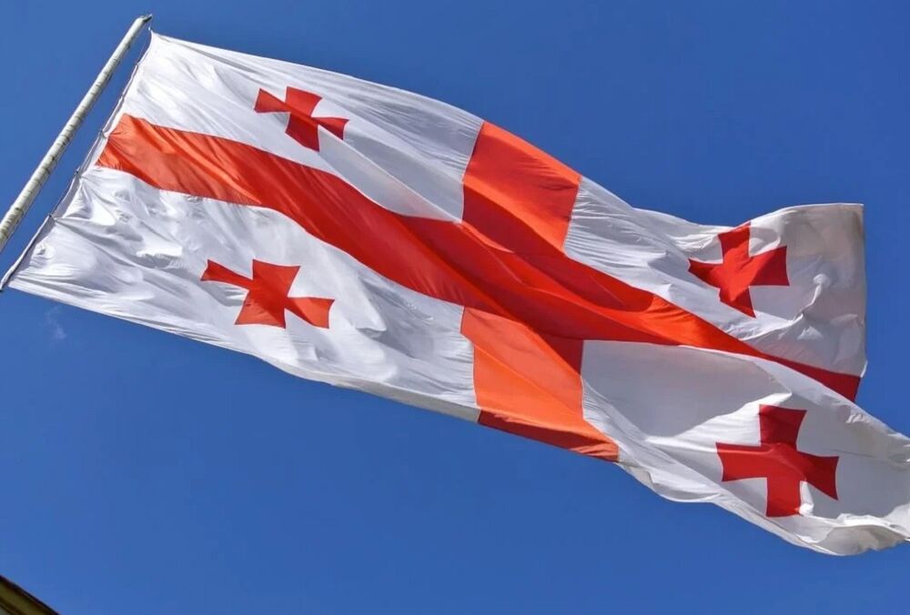 Парламент Грузии не будет осуждать планы россиян по строительству в Абхазии базы Черноморского флота 