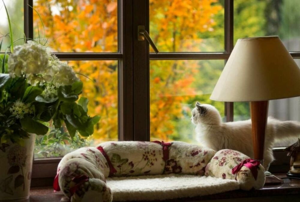 Дощі відступили: якою буде погода в Україні сьогодні