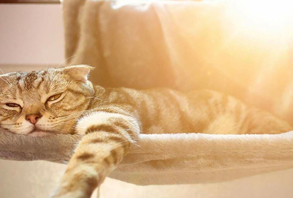 Синоптики попередили про повернення гроз: прогноз погоди в Україні