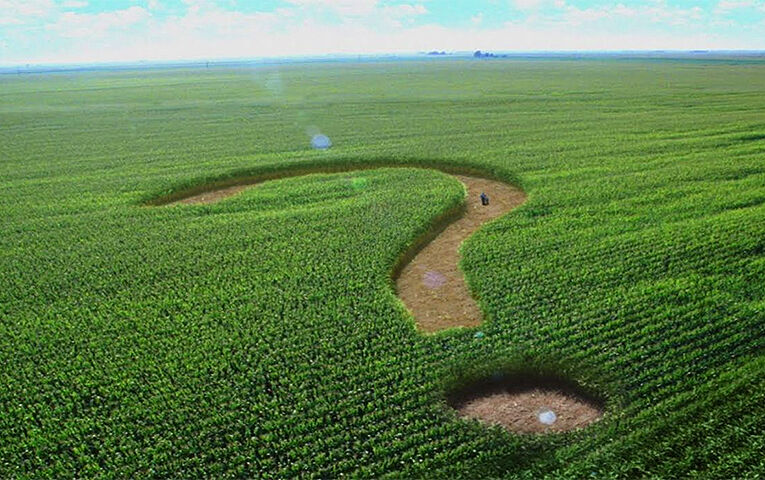 Батьківщина і фермерські організації створили ініціативну групу зі збору підписів за ”земельний референдум”