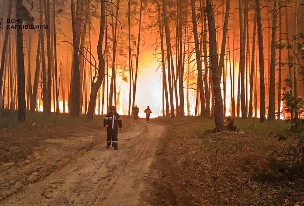 В Харьковской области вспыхнули масштабные лесные пожары: фото