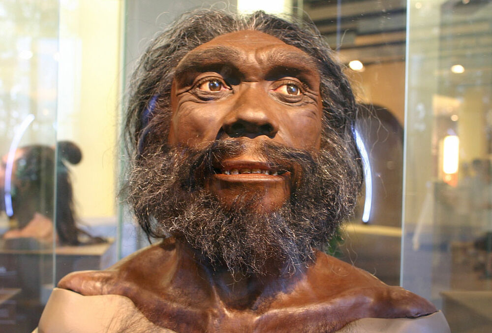 Ученые выяснили, что древние люди могли впадать в спячку