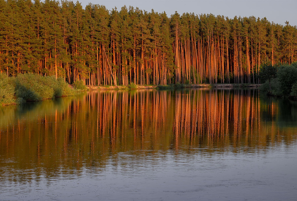 Тесть замглавы Львовской ОВА покупает земельные участки при отсутствии доходов, - расследование