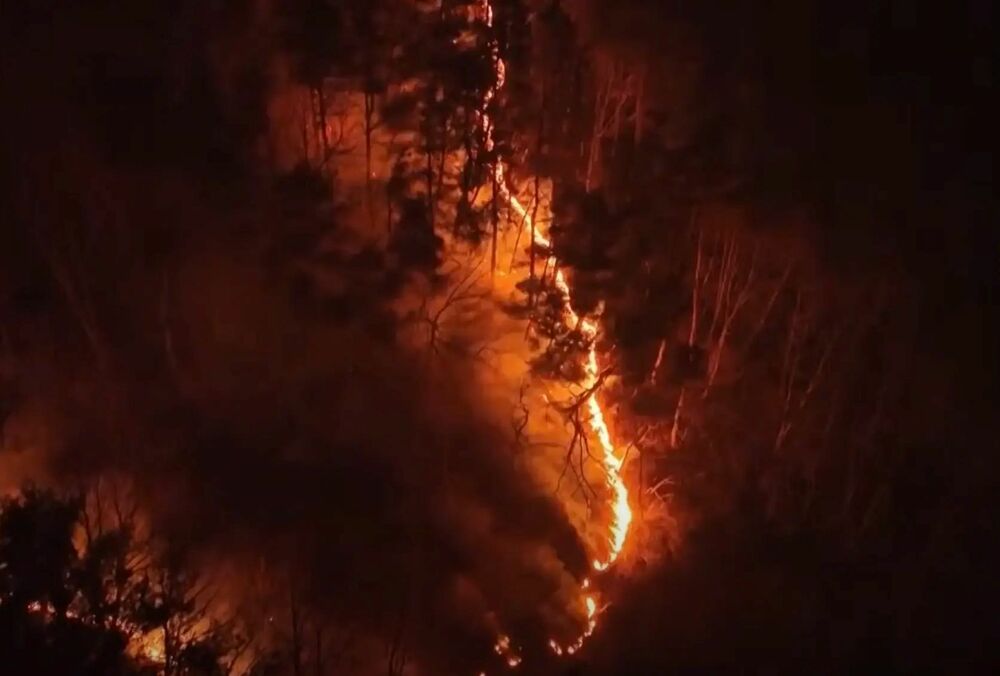 Южную Корею охватили масштабные лесные пожары