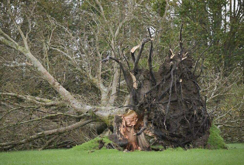 Ураган ”Киаран” приближается к Польше: жителей предупредили о вероятных отключениях света 