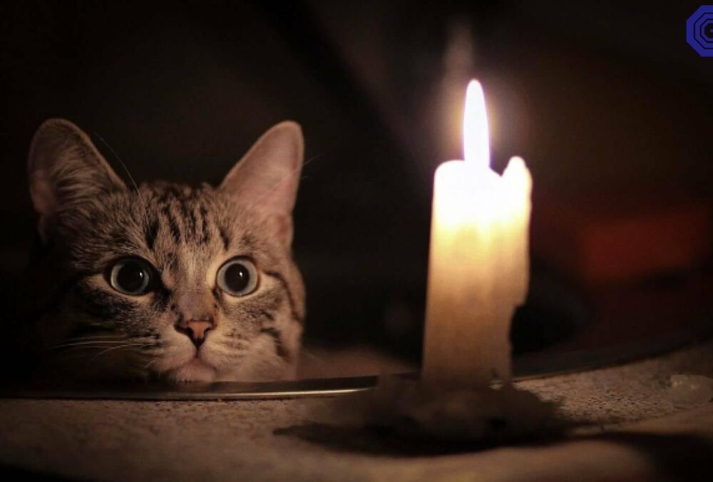 Украинцев предупредили о новых веерных отключениях: где смотреть график Украинцев предупредили о новых веерных отключениях: где смотреть график