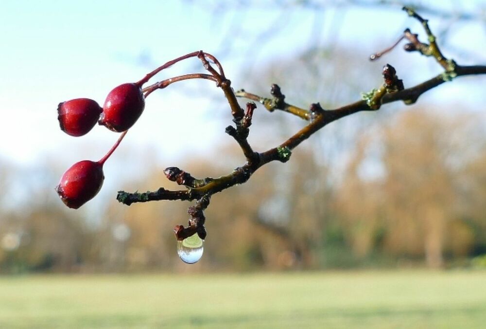 Почти весна: прогноз погоды в Украине