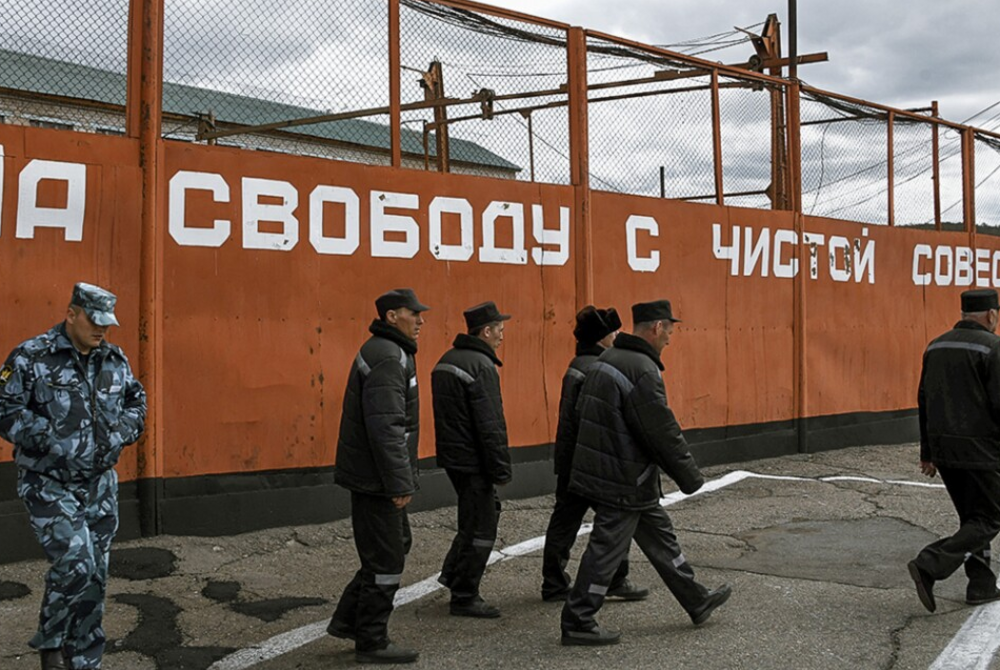 Правозащитники рассказали, сколько заключенных Россия отправила на войну в Украину Правозащитники рассказали, сколько заключенных Россия отправила на войну в Украину
