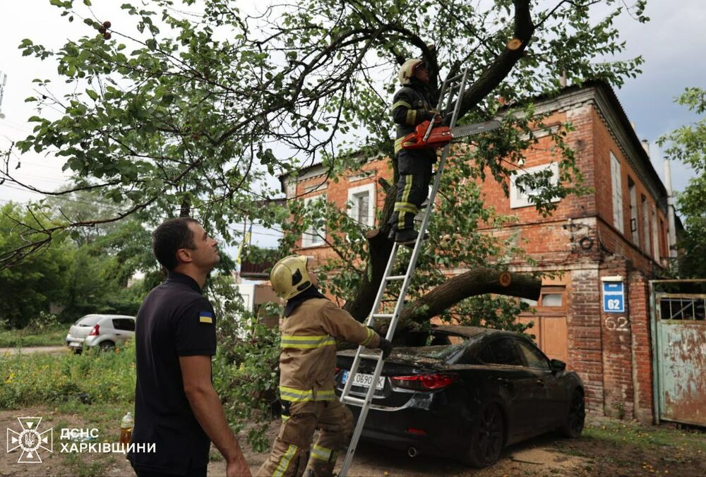 Майже півтисячі повалених дерев: Терехов розповів про наслідки негоди у Харкові Майже півтисячі повалених дерев: Терехов розповів про наслідки негоди у Харкові