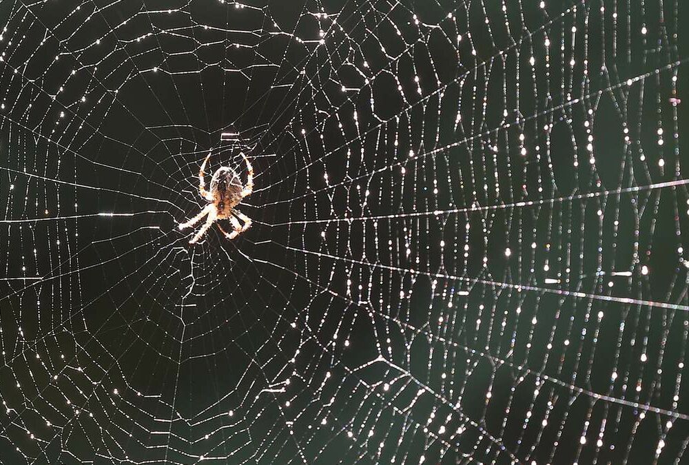 Екватор вересня прийшов до України з похолоданням