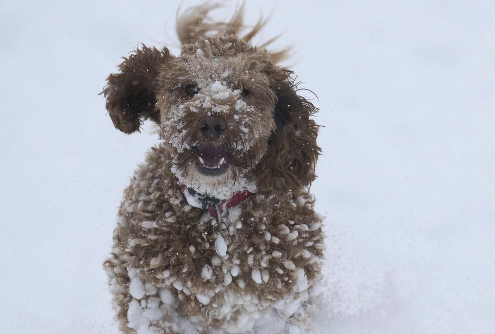 Прогноз погоди в Україні: синоптики обіцяють снігопади