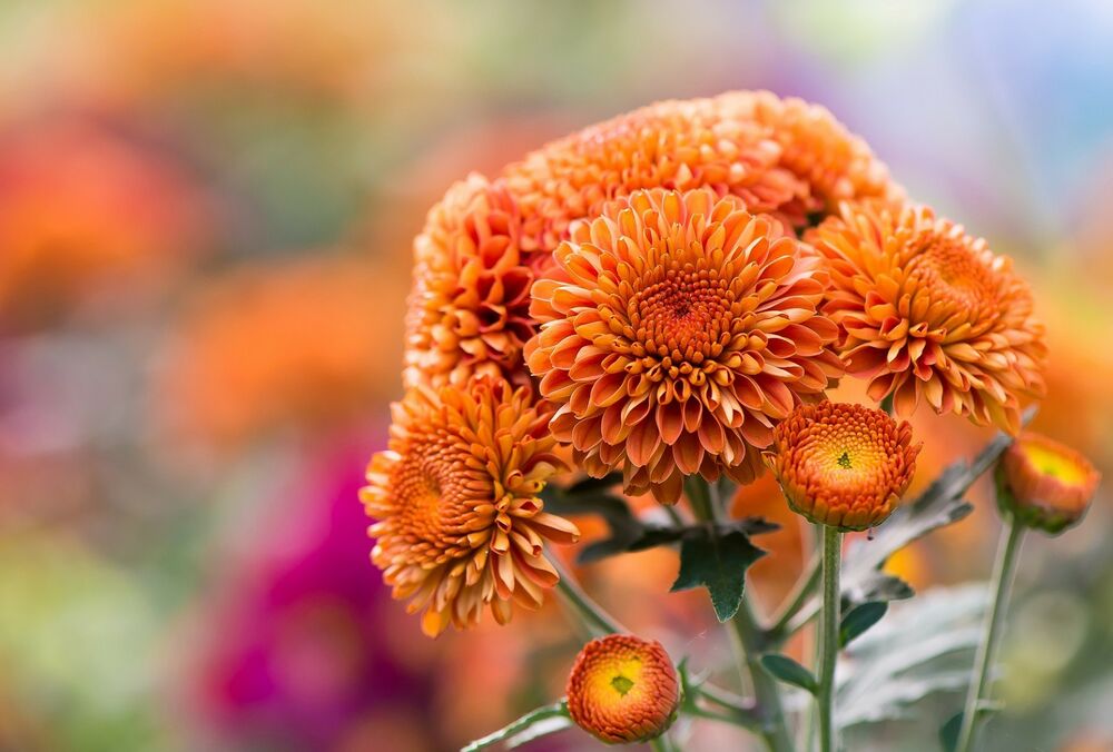 Погода в Украине испортится: завтра придут похолодание и дожди Погода в Украине испортится: завтра придут похолодание и дожди