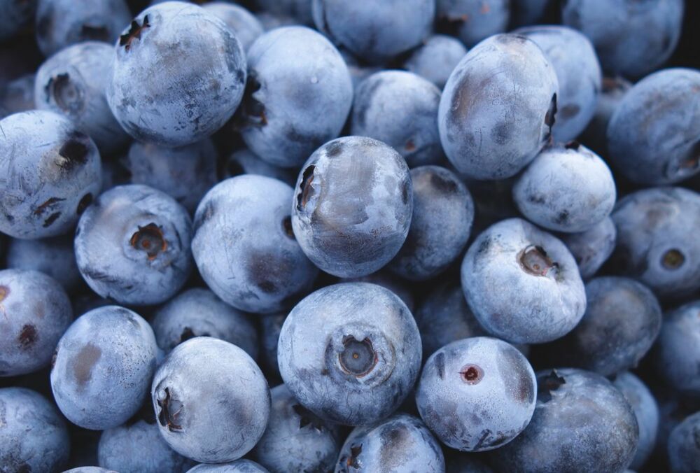 В Украине стремительно дешевеет голубика