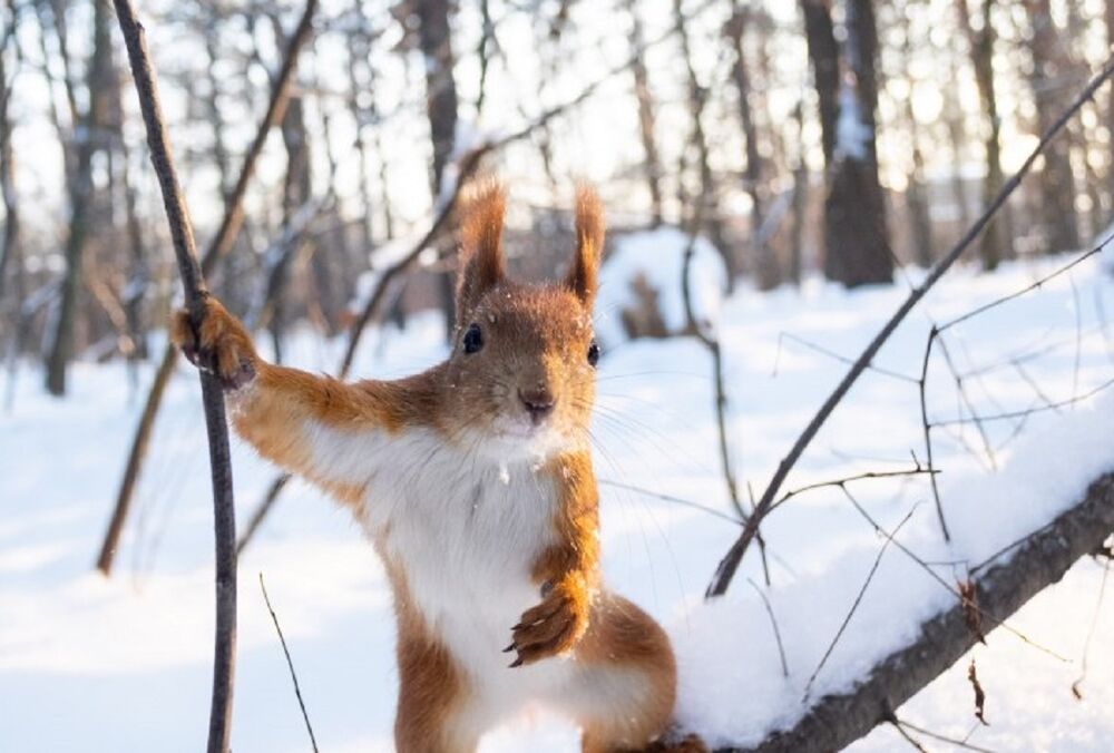 Погода в Украине: стоит ли ждать потепления