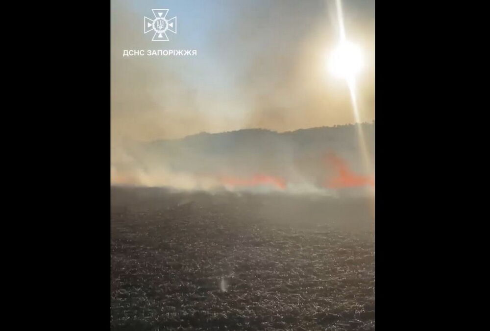 У Запорізькій області через російський обстріл згоріло майже 4 га хліба: відео