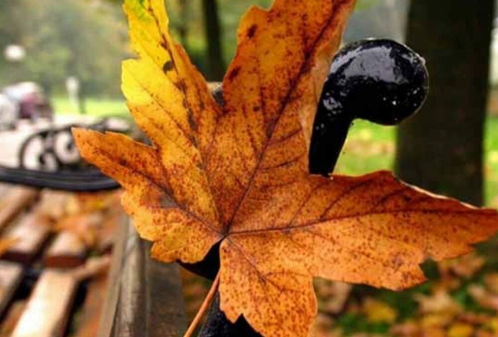 В Украину возвращается летняя погода: где ждать жары