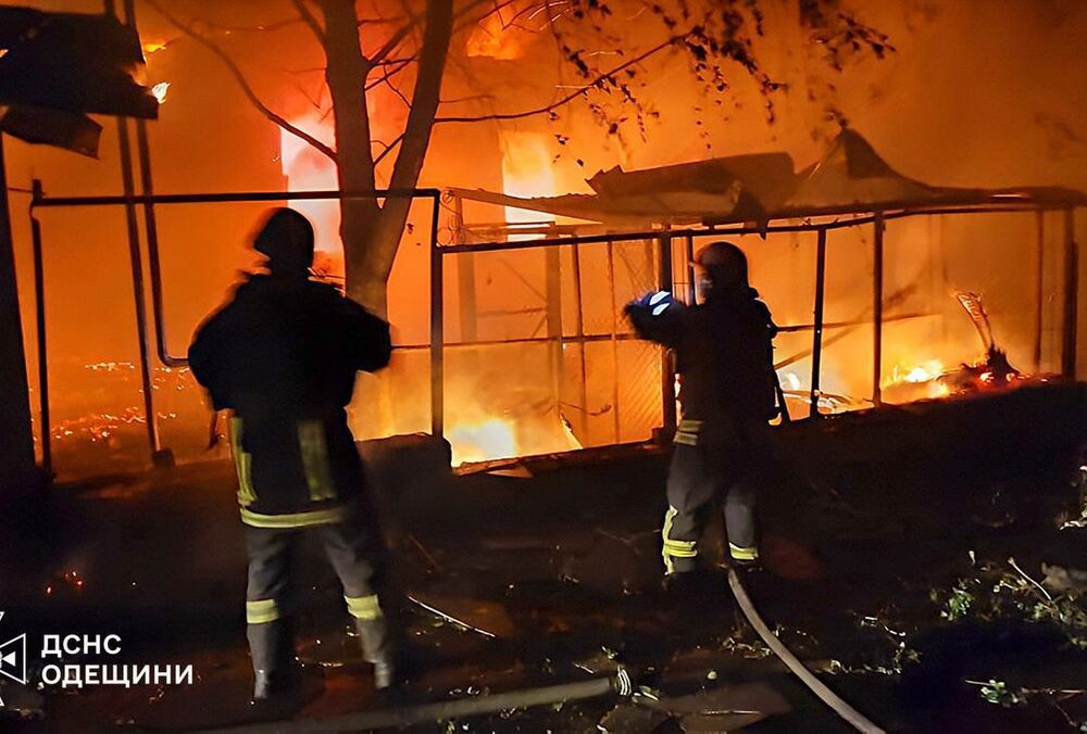 Россияне атаковали дом директора одесского зоопарка: потерялись животные (фото)