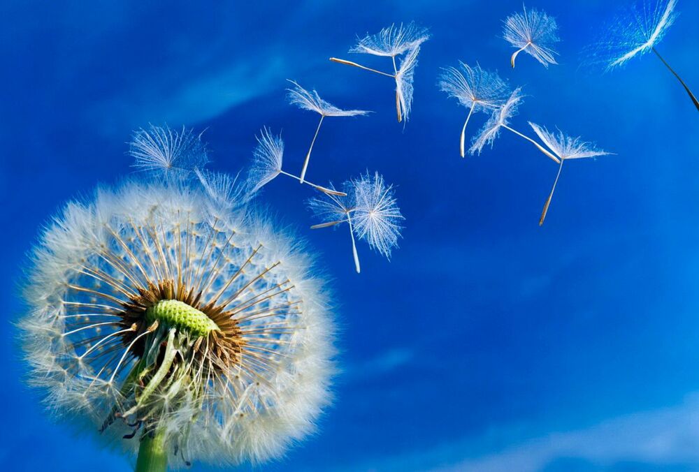 Прогноз для Украины: какими будут первые выходные лета Прогноз для Украины: какими будут первые выходные лета