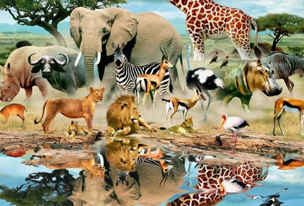 Биоразнообразие: актуальное состояние и значение для экосистемы Биоразнообразие: актуальное состояние и значение для экосистемы