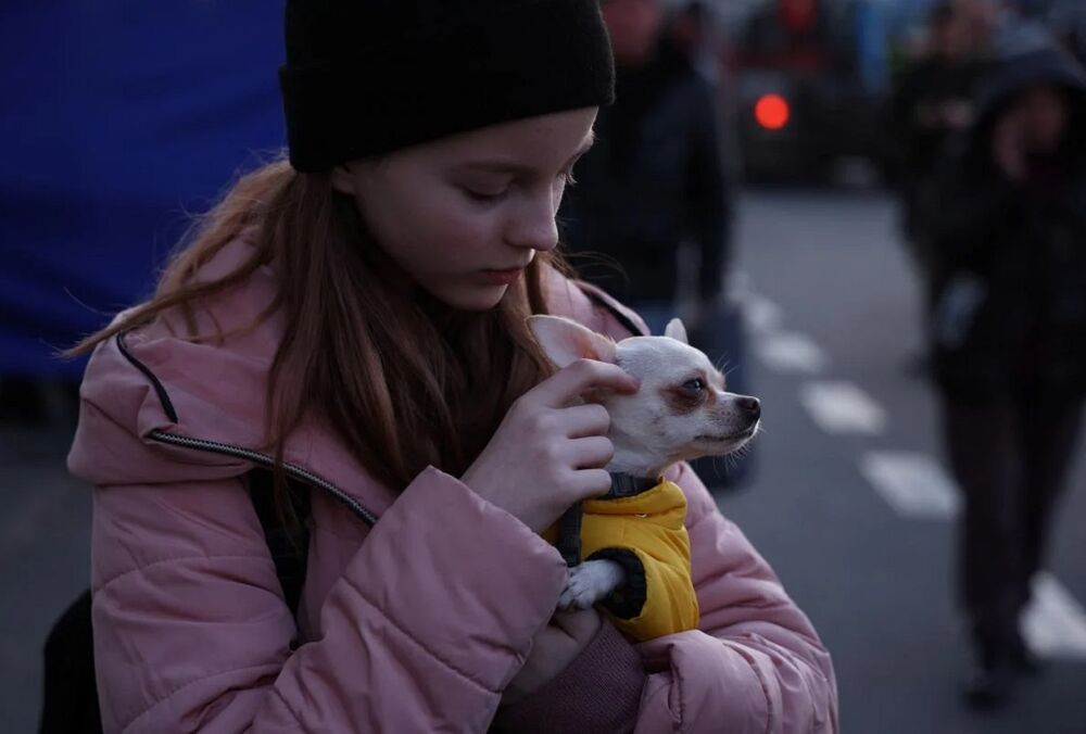 В Нидерландах предлагают возвращать украинских беженцев в ”безопасные регионы” на Западе