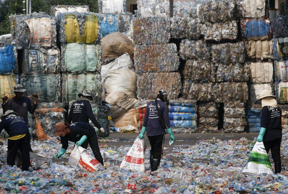 Экологичное обращение с отходами. Мировые тенденции 