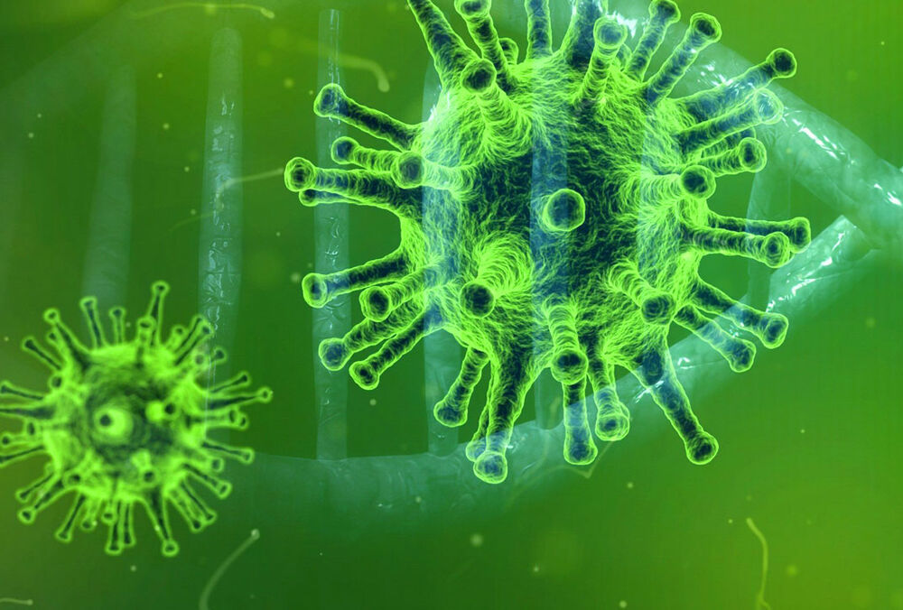 З октября – Международный день признания вирусов: актуальность праздника 