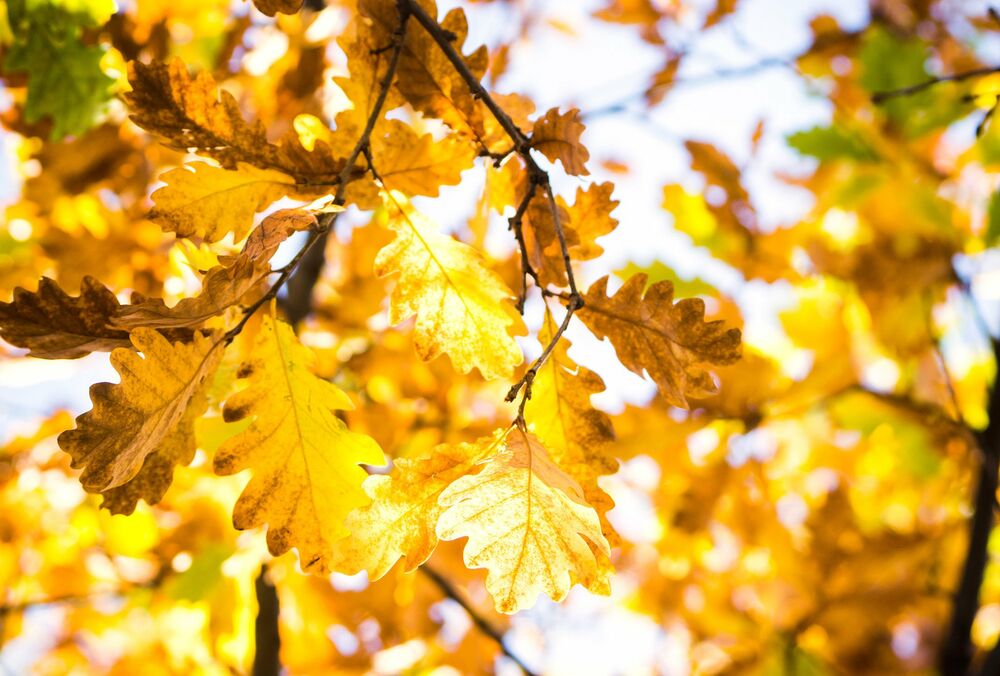 Синоптик повідомив, коли в Україну прийде потепління