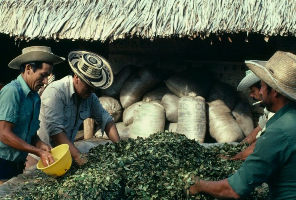 В Колумбии изъята рекордная за год партия кокаина на сумму 300 млн. долл.