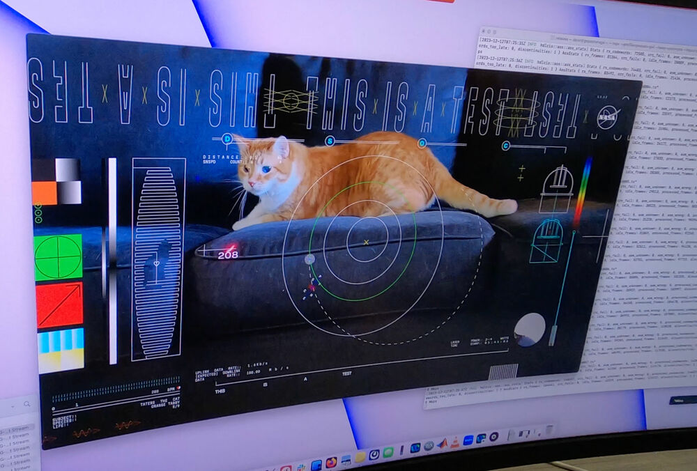 NASA по лазерному лучу передало на Землю из дальнего космоса видео с котиком